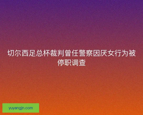 切尔西足总杯裁判曾任警察因厌女行为被停职调查