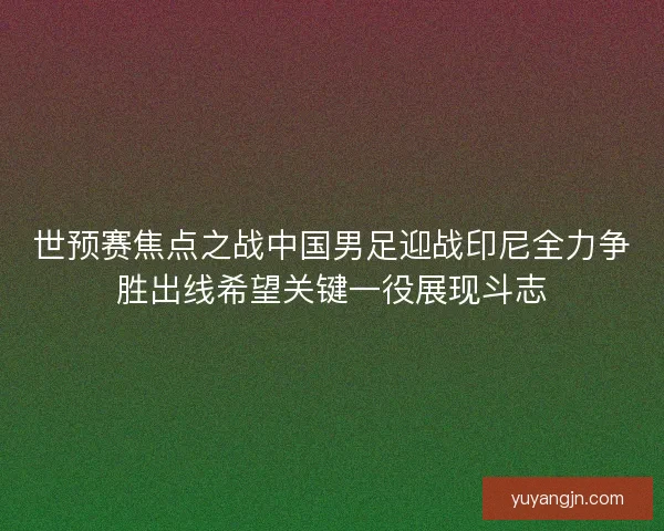 世预赛焦点之战中国男足迎战印尼全力争胜出线希望关键一役展现斗志